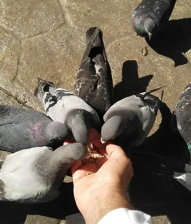 Mira Tu Casa En Appartement *
